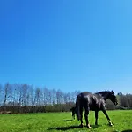 Zacisze Odpocznij Wśród Natury W Wielkopolsce Jozefow (Pleszew County)