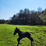 Zacisze Odpocznij Wsrod Natury W Wielkopolsce Nyaraló Józefów