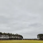 Nyaraló Zacisze Odpocznij Wsrod Natury W Wielkopolsce *