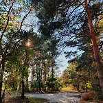 Nyaraló Zacisze Odpocznij Wsrod Natury W Wielkopolsce