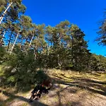 Zacisze Odpocznij Wsrod Natury W Wielkopolsce Nyaraló *