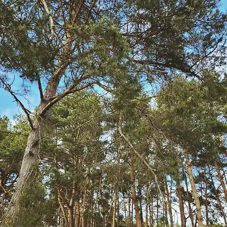 Zacisze Odpocznij Wsrod Natury W Wielkopolsce Jozefow (Pleszew County)