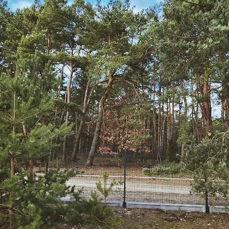 Zacisze Odpocznij Wśród Natury W Wielkopolsce