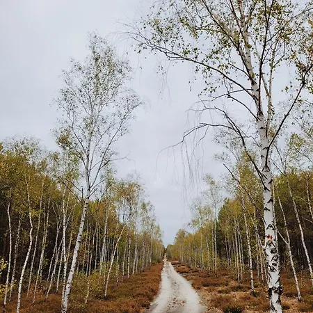 בית נופש Zacisze Odpocznij Wsrod Natury W Wielkopolsce