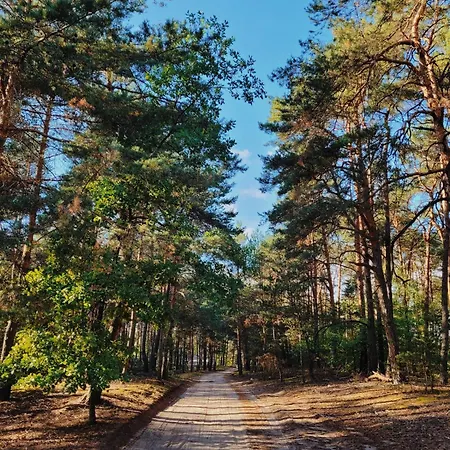Zacisze Odpocznij Wsrod Natury W Wielkopolsce Дом отдыха Jozefow (Pleszew County)