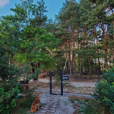 Zacisze Odpocznij Wsrod Natury W Wielkopolsce Jozefow (Pleszew County)