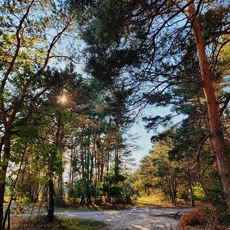 בית נופש Zacisze Odpocznij Wsrod Natury W Wielkopolsce