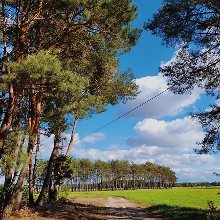 Zacisze Odpocznij Wsrod Natury W Wielkopolsce * Jozefow (Pleszew County)
