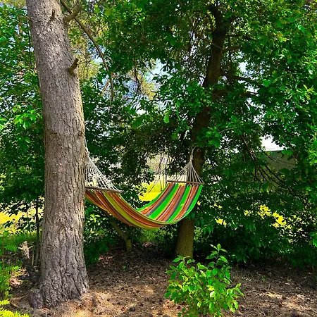 Zacisze Odpocznij Wsrod Natury W Wielkopolsce בית נופש