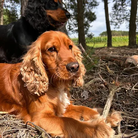 Zacisze Odpocznij Wsrod Natury W Wielkopolsce