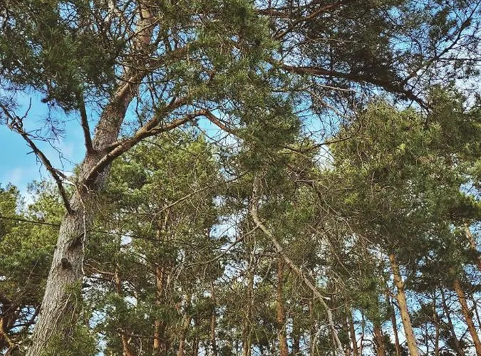Zacisze Odpocznij Wśród Natury W Wielkopolsce Jozefow (Pleszew County)