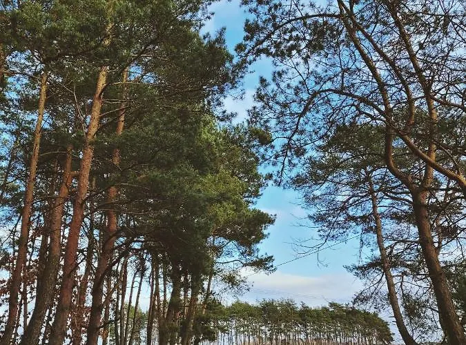 Vakantiehuis Zacisze Odpocznij Wsrod Natury W Wielkopolsce