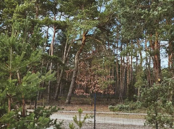 Zacisze Odpocznij Wśród Natury W Wielkopolsce