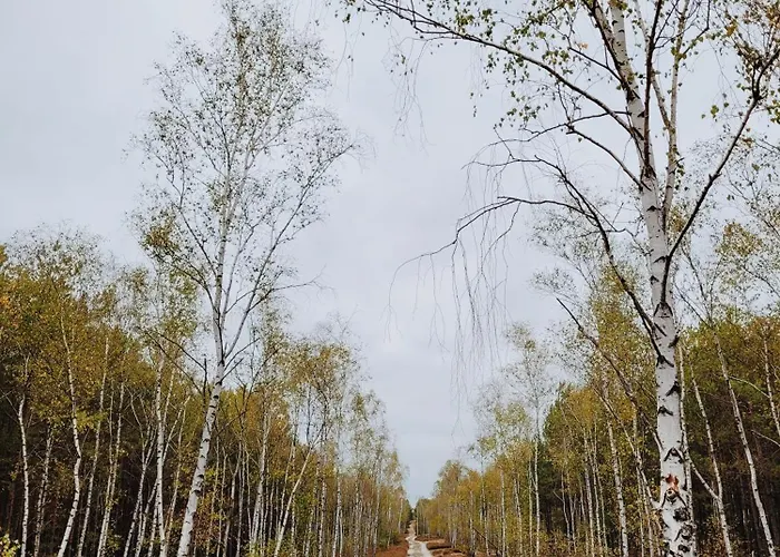 Vakantiehuis Zacisze Odpocznij Wsrod Natury W Wielkopolsce