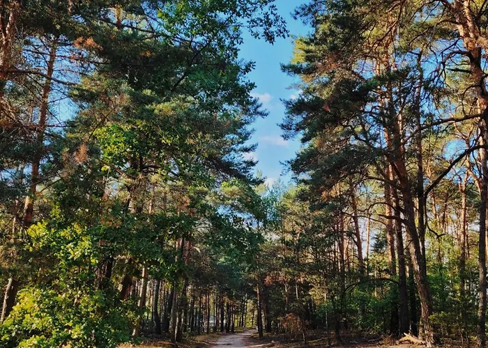 Zacisze Odpocznij Wśród Natury W Wielkopolsce Сasa de vacaciones Jozefow (Pleszew County)