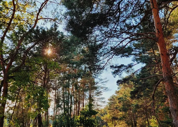 Vakantiehuis Zacisze Odpocznij Wsrod Natury W Wielkopolsce