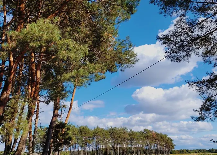 Zacisze Odpocznij Wsrod Natury W Wielkopolsce * Jozefow (Pleszew County)