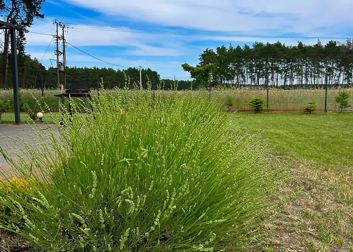 Zacisze Odpocznij Wśród Natury W Wielkopolsce Jozefow (Pleszew County)