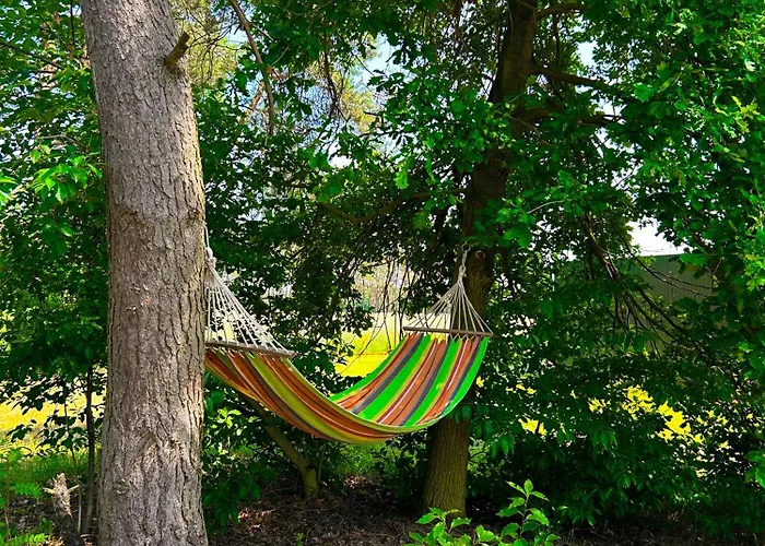 Zacisze Odpocznij Wśród Natury W Wielkopolsce Сasa de vacaciones