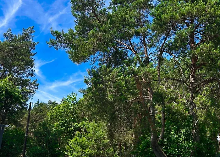 Zacisze Odpocznij Wsrod Natury W Wielkopolsce Holiday home *