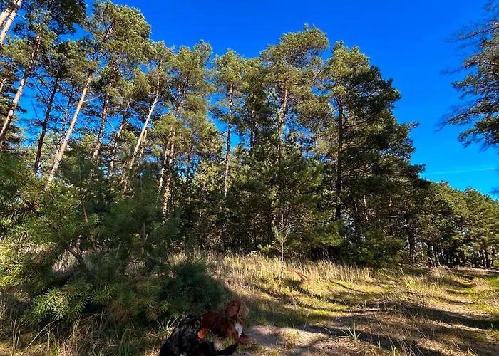 Zacisze Odpocznij Wśród Natury W Wielkopolsce Сasa de vacaciones *